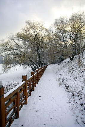 �����ӱ�