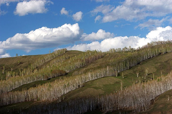 ������ɰ�����