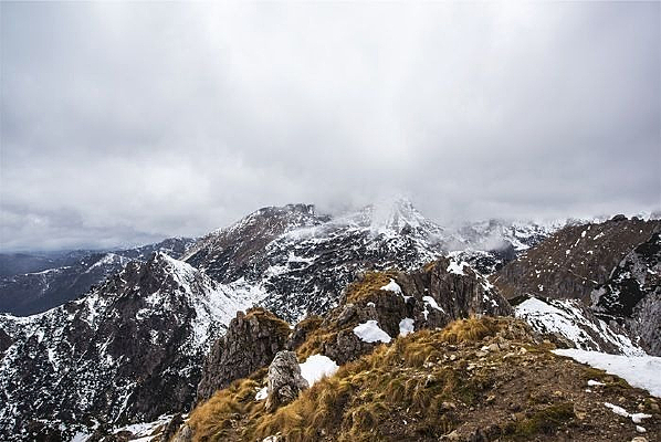 ������ѩ��ɫ