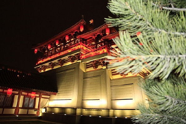 �ų�����