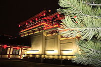 �ų�����