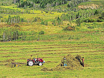 ���ױ������ո�