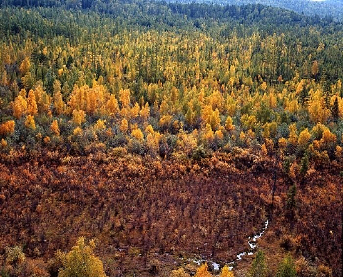 ��Ϫ�غ���