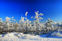 �ֺ�ѩԭ��ѩ���