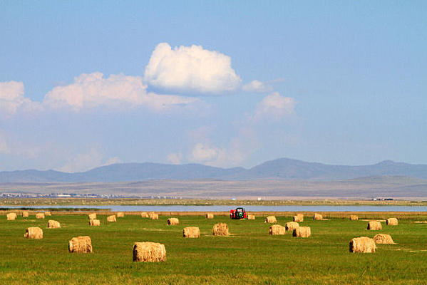 ����������