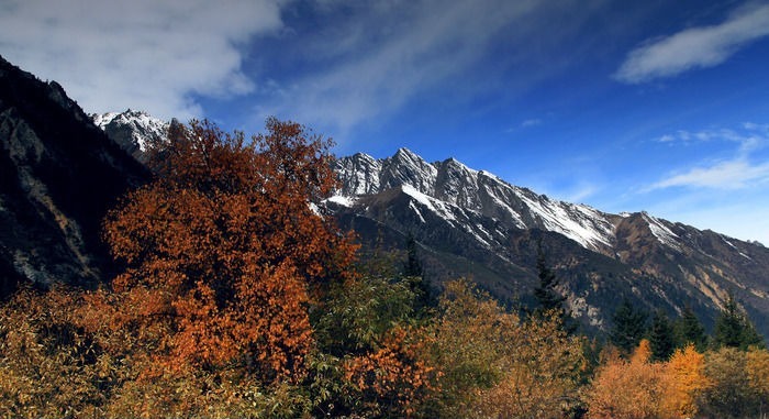 ������Ȱ���