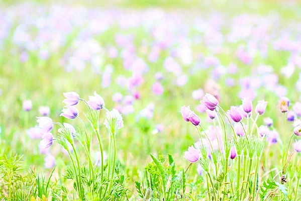 ���µ��ŵ�ͼƬ