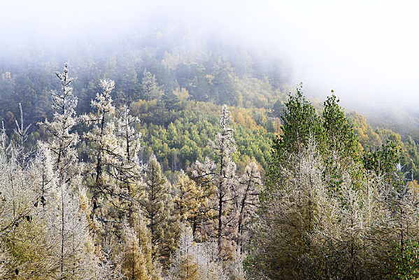 ˪������