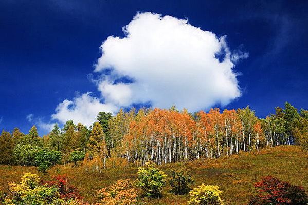 ��ɽ��ɫŨ��