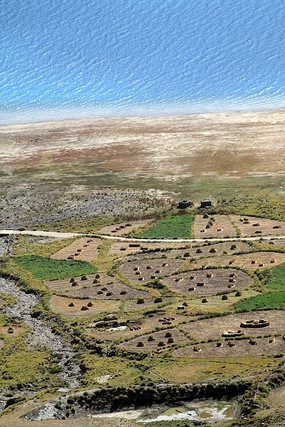 �����ݵ�