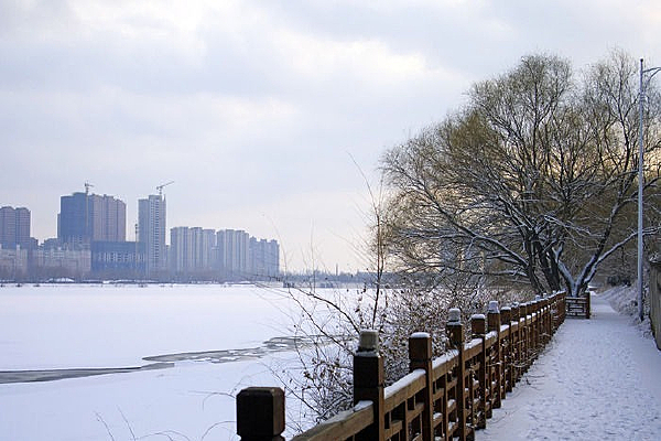 �����Ķ���