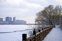 �����Ķ���