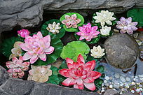 ��������