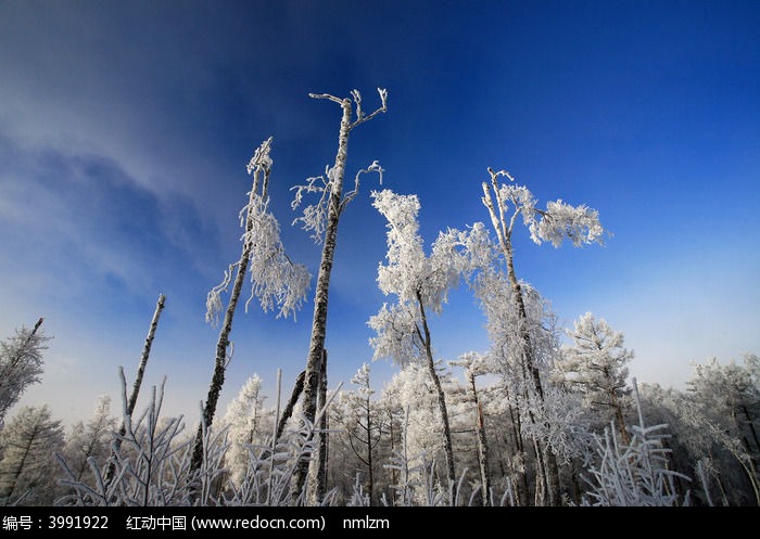 ����������ڡͼƬ