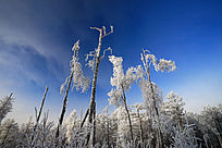 ����������ڡ