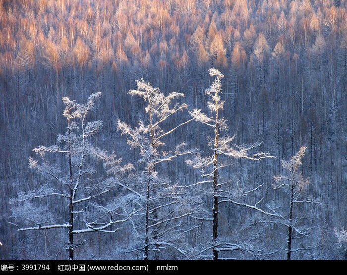 ��ڡ����ͼƬ