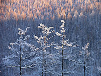 ��ڡ����