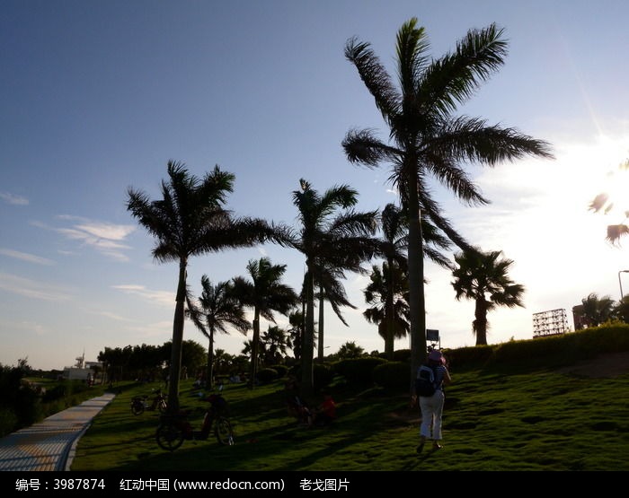 ��������Ҭ����ͼƬ