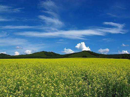 ������԰���