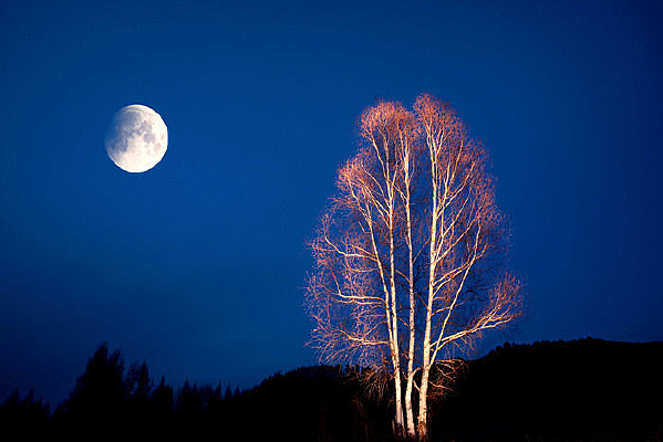 �����¹���