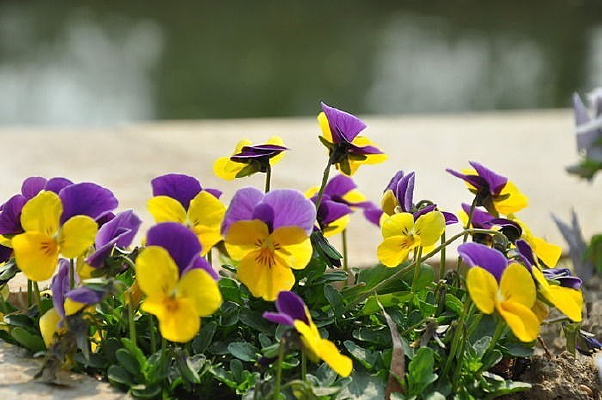 ���컨ϵ��