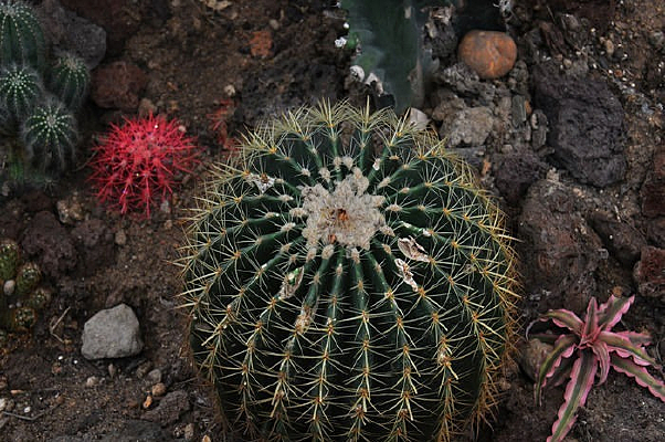 ����������