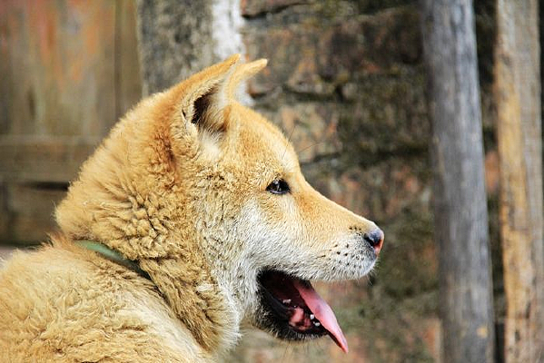 С��ͷ����д