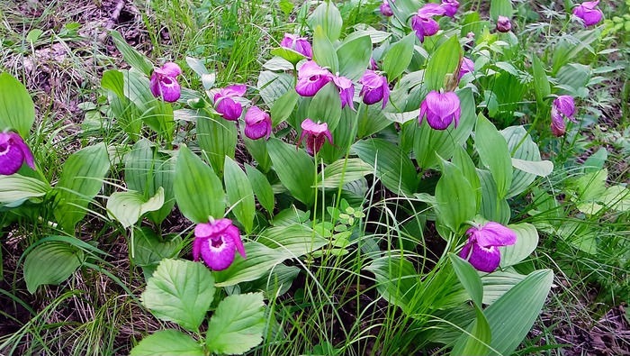 Ұ�������