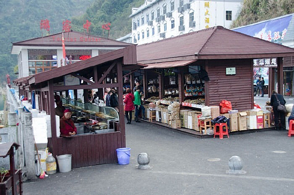 ���˶�����