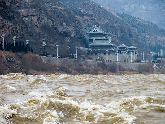 �����ƺ�