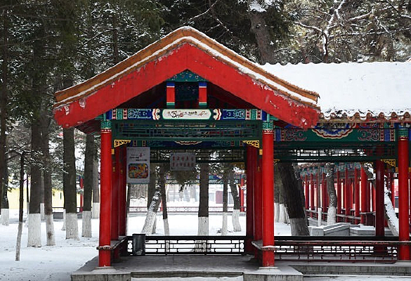 ��԰������ͤ����