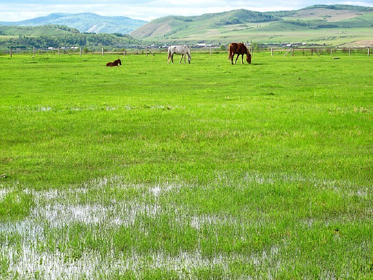 �ݳ��������