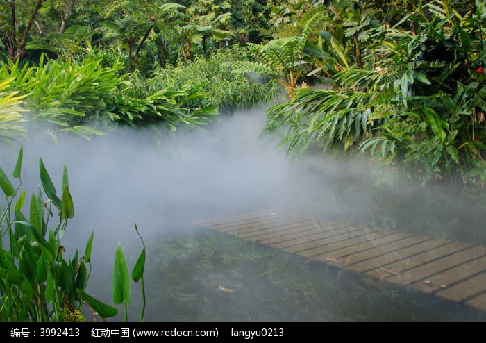 水霧縈繞