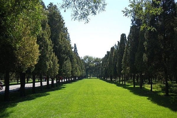 ��̳����