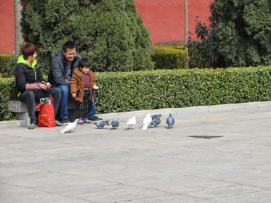 ���ֵ�ʱ��