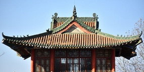 ��ʽ�¹Ž�������