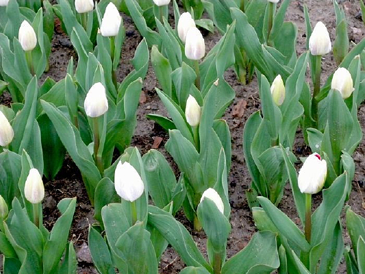 ����������