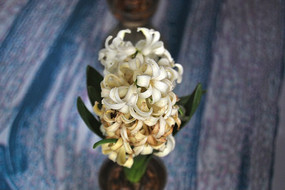 ��ɫ������