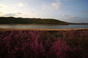 ����֮��