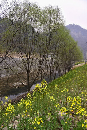 �Ͳ�����