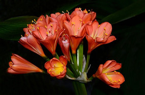 ����������