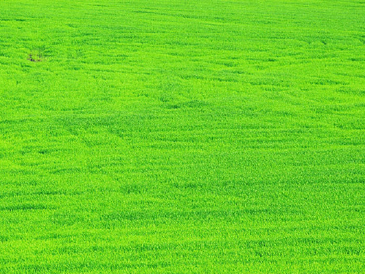 ��Ұ����