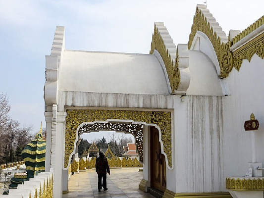 �Ž����ڽ̽�������