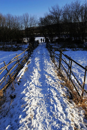 ���С·դ��