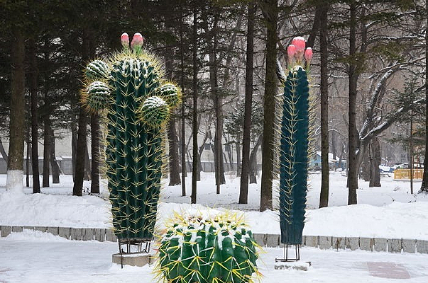 �������ʻ�