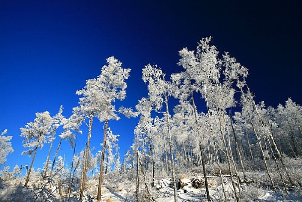 ��ѩѹ����