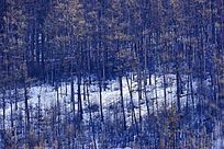 ������Ȼ��