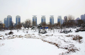 ���չ�԰ѩ���ϵ���ľ��Զ���ľ���¥