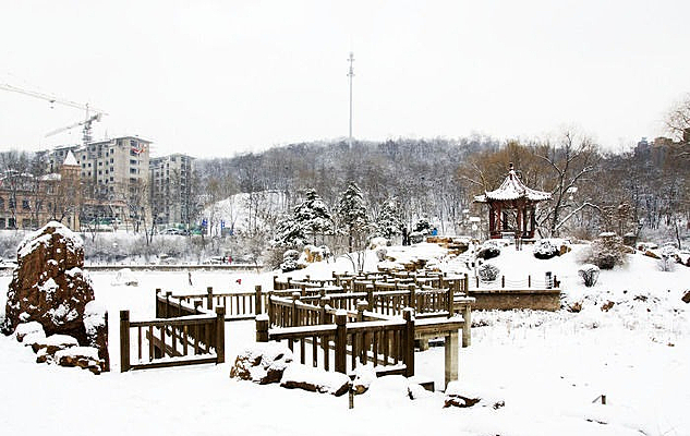 �����﹫԰