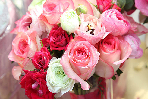 ��ɫ��õ�廨��